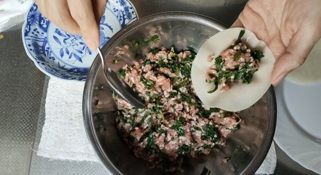 餃子の種類あれこれメインビジュアル